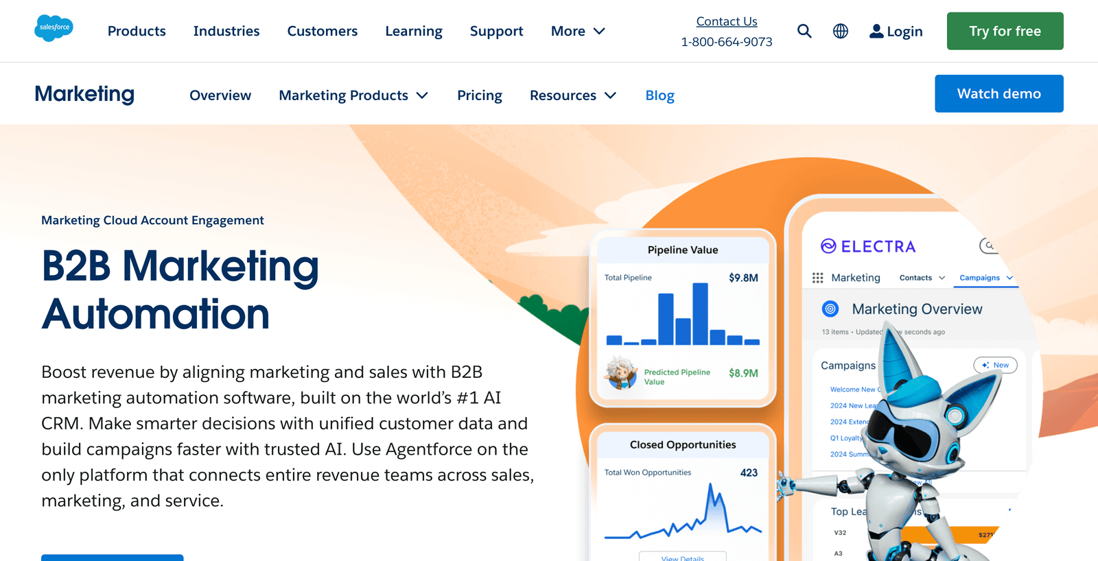 Marketing Cloud Account Engagement